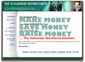 The Volunteer Workforce